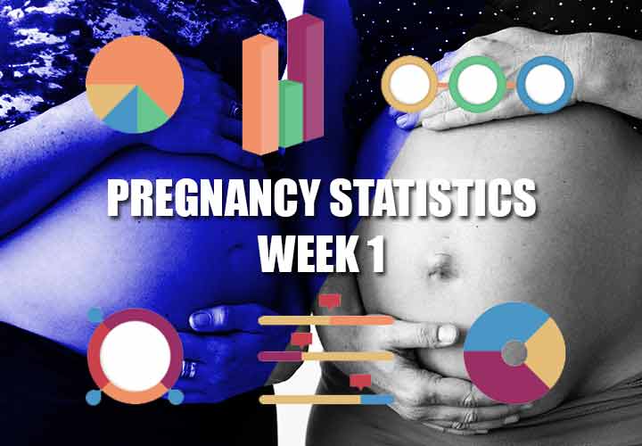 PREGNANCY-STATISTICS-WK-1-PREGNANCY-NIGERI